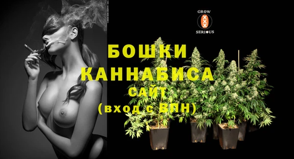сатива Заволжск