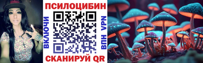 цены наркотик  Избербаш  Галлюциногенные грибы Psilocybe 